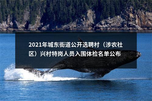 2025年驻马店遂平县公益性岗位招聘5名公告 图片