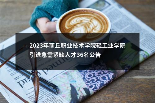 2023年商丘职业技术学院轻工业学院引进急需紧缺人才36名公告 图片