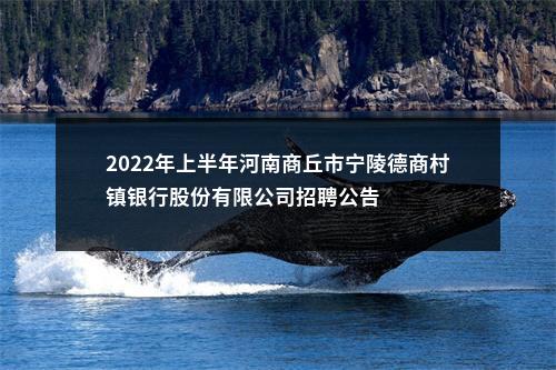 2022年上半年河南商丘市宁陵德商村镇银行股份有限公司招聘公告 图片